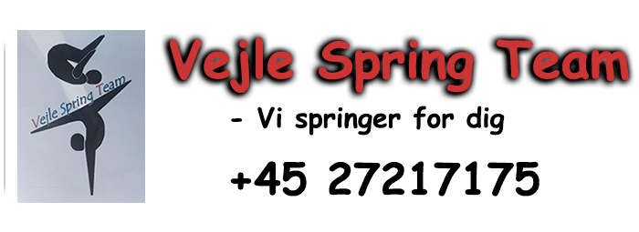 vejle spring team Logo